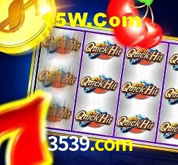 3539.com Salvador - Promo Stats